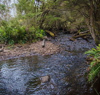 Horse Swamp campground - Accommodation Cairns