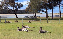 Lake Conjola Entrance Holiday Park - Accommodation Cairns 2