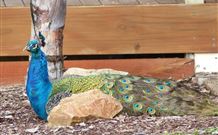 Lake Hume Tourist Park - Accommodation Cairns 1