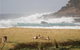 Merry Beach Caravan Resort - thumb 2