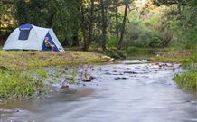 Nymboida NSW Accommodation Cairns