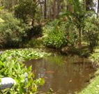 Tallowood Ridge B and B - Accommodation Cairns