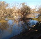 Warrawong on the Darling - Accommodation Cairns