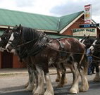 Araluen Valley Hotel - Araluen - Accommodation Cairns