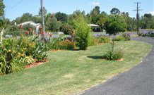 Glen Innes Motel - Glen Innes - Accommodation Cairns 1