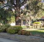 Hamilton Hume Motor Inn - Yass - Accommodation Cairns