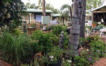 Oasis Motel - Accommodation Cairns 1