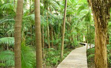 The Byron At Byron Resort And Spa - Byron Bay - Accommodation Cairns 1