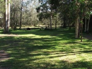 Jervis Bay Cabins And Hidden Creek Real Camping - Accommodation Cairns 6