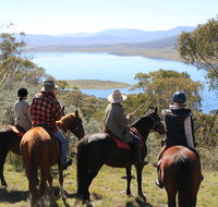 Reynella Homestead and Horseback Rides - Accommodation Cairns