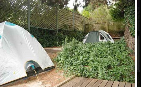 The Flying Fox Backpackers - Accommodation Cairns 2