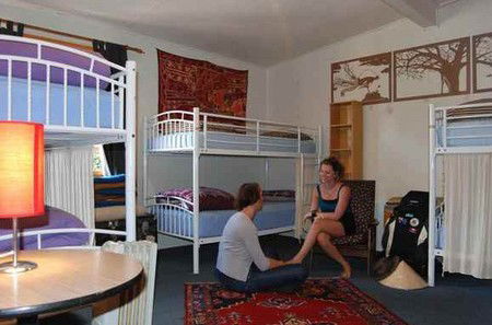 The Flying Fox Backpackers - Accommodation Cairns 4