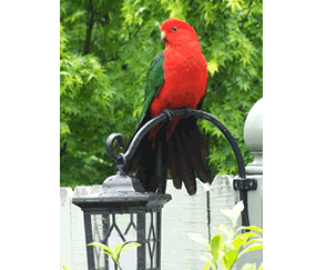 Shelton-lea Bed & Breakfast - thumb 5