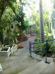 Reef Lodge Backpackers - Accommodation Cairns 1