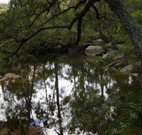 Hidden Valley Farm - Accommodation Cairns
