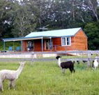 Moorallie Cottage Farm Stay - Accommodation Cairns