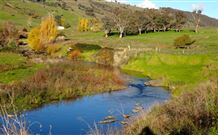 Ralda's Cottage - Accommodation Cairns 0