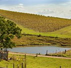 Sanctuary Hill Retreat - Accommodation Cairns