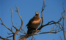 Stony Creek Farm B And B - Accommodation Cairns 2