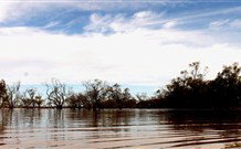 Stony Creek Farm B And B - Accommodation Cairns 5