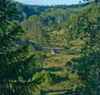 Yarralong BnB and Farm Stay - Accommodation Cairns