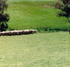 Gooromon Park Cottages - Accommodation Cairns