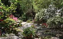 Kubba Roonga Guesthouse - Accommodation Cairns 0