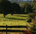 Pines on the Plateau - Accommodation Cairns