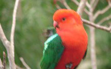 Salisbury Lodges And Araluen Restaurant - Accommodation Cairns 2