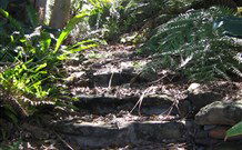 Studio Cottages - Accommodation Cairns 5