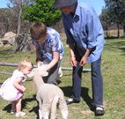 Yarralong BnB and Farm Stay - Accommodation Cairns