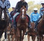 Jemby Rinjah Eco Lodge - Accommodation Cairns