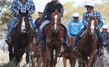 Jemby Rinjah Eco Lodge - Accommodation Cairns 0