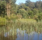 Fosterton Lodge Retreat - Accommodation Cairns
