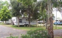Gum Tree Heaven - Accommodation Cairns 0