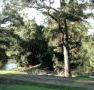 Rustic Caravan Park - Accommodation Cairns