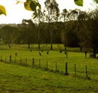 Stone Cottage Mittagong - Accommodation Cairns