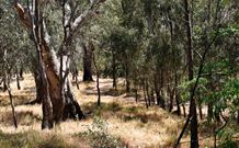 Wagon Wheel Motel And Units - Accommodation Cairns 6