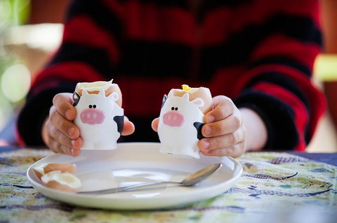 Cosy Cow Farmstay Bed And Breakfast - Accommodation Cairns 0