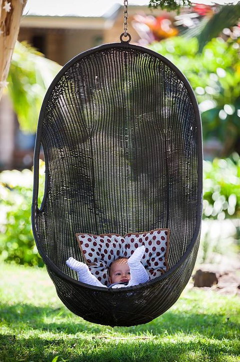 Cosy Cow Farmstay Bed And Breakfast - Accommodation Cairns 5