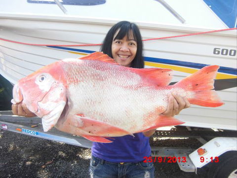 Flying Fish Point Tourist Park - Accommodation Cairns 6