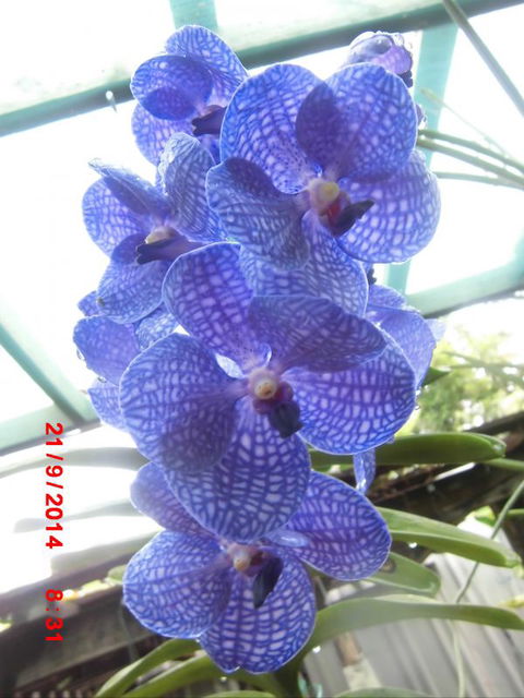 Flying Fish Point Tourist Park - Accommodation Cairns 8