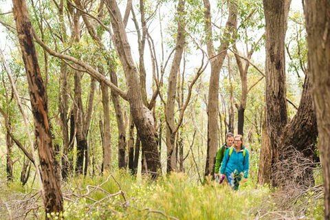 Mt Lofty YHA - Accommodation Cairns 8