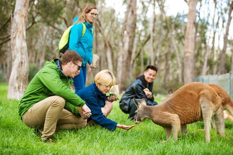 Mt Lofty YHA - Accommodation Cairns 7
