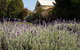 Vacy Hall Toowoomba's Grand Boutique Hotel Since 1873 - thumb 2
