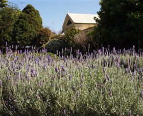 Vacy Hall Toowoomba's Grand Boutique Hotel Since 1873 - Accommodation Cairns 1