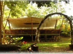 Cedar Park Rainforest Resort - Accommodation Cairns 2