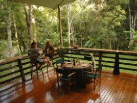 Cedar Park Rainforest Resort - Accommodation Cairns 3