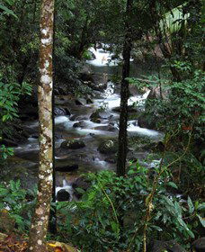 Daintree Secrets Waterfall Sanctuary - Accommodation Cairns 1