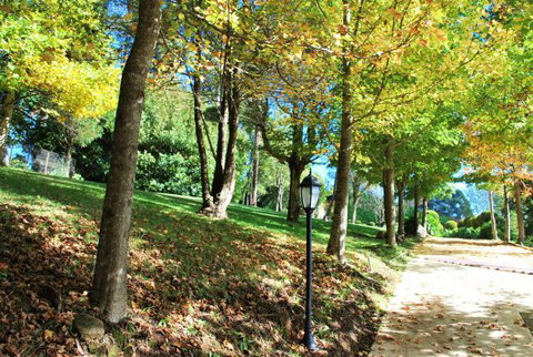 Huntington Cottage - Accommodation Cairns 7